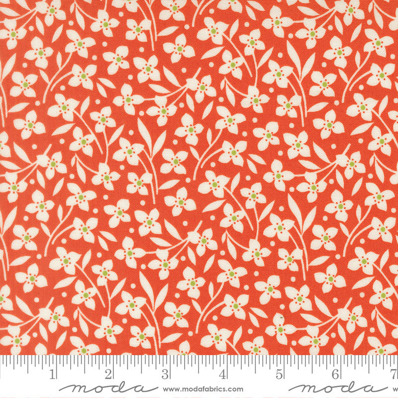 Summers End Forget Me Not Persimmon Yardage by Fig Tree & Co for Moda Fabrics | 35435 16