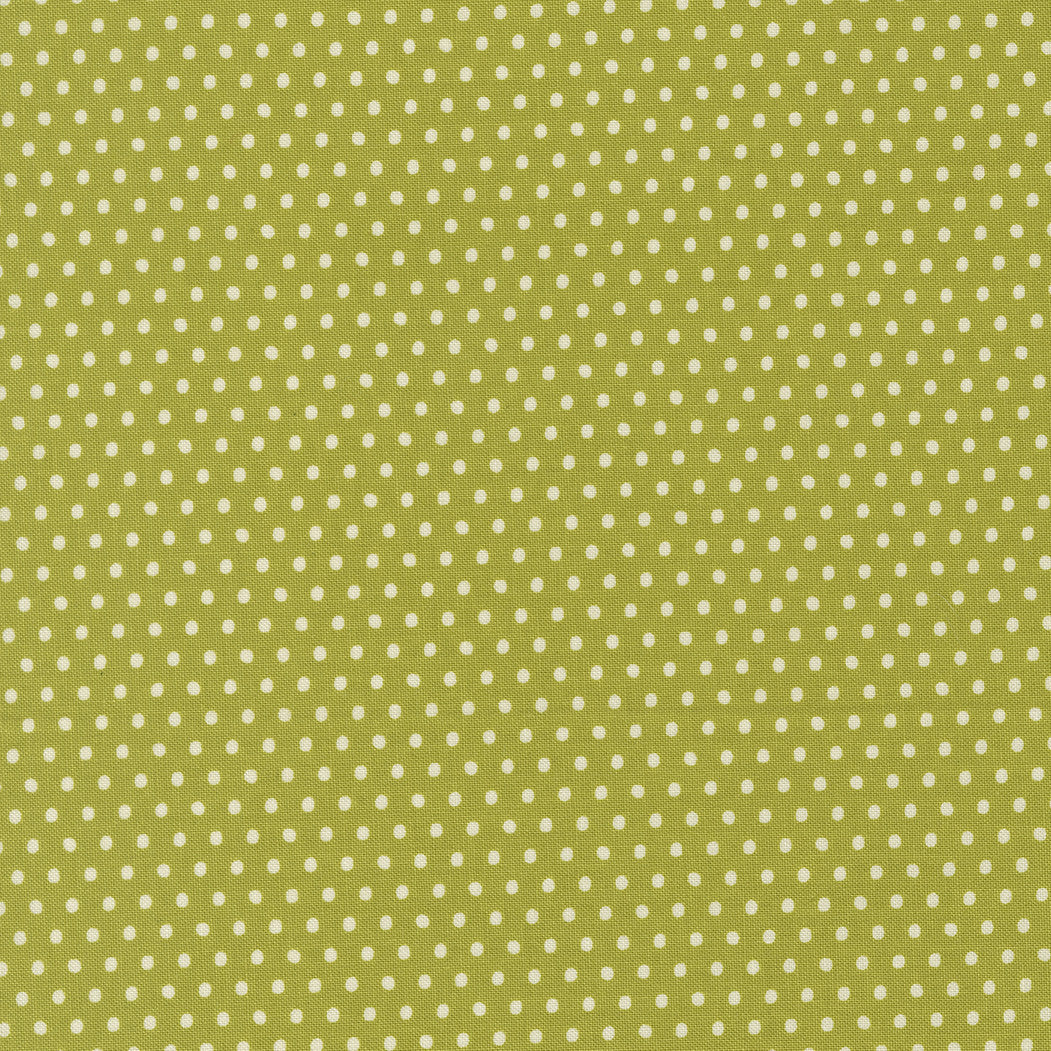 PRESALE Animal Park Fun Dotty Dot Iguana Yardage by Stacy Iest Hsu for Moda Fabrics | 20967 16