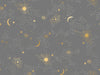 Florida Slate Gray Cosmos Yardage (RS2028 18M) Ruby Star Society - Cut Options