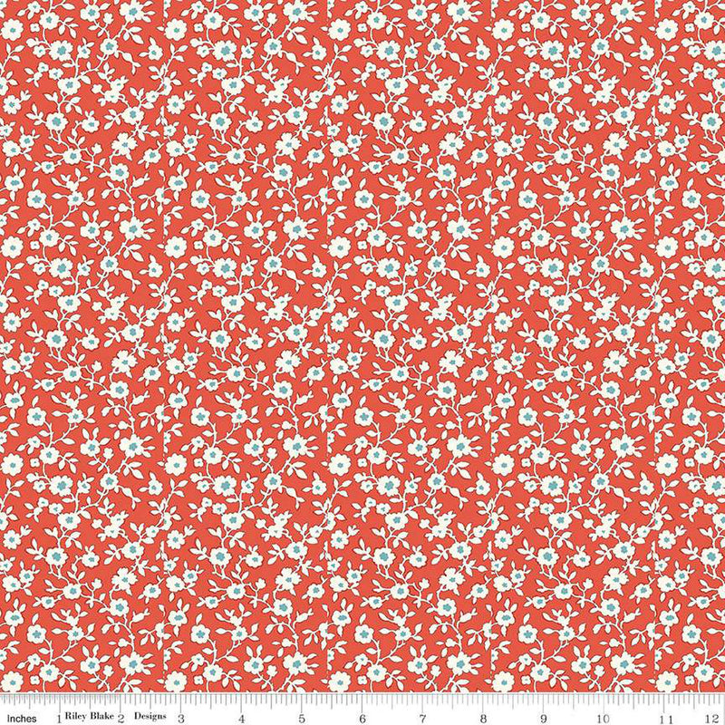 The Collector's Home Curiosity Brights Daisy Trail B by Liberty Fabrics | 01666814B