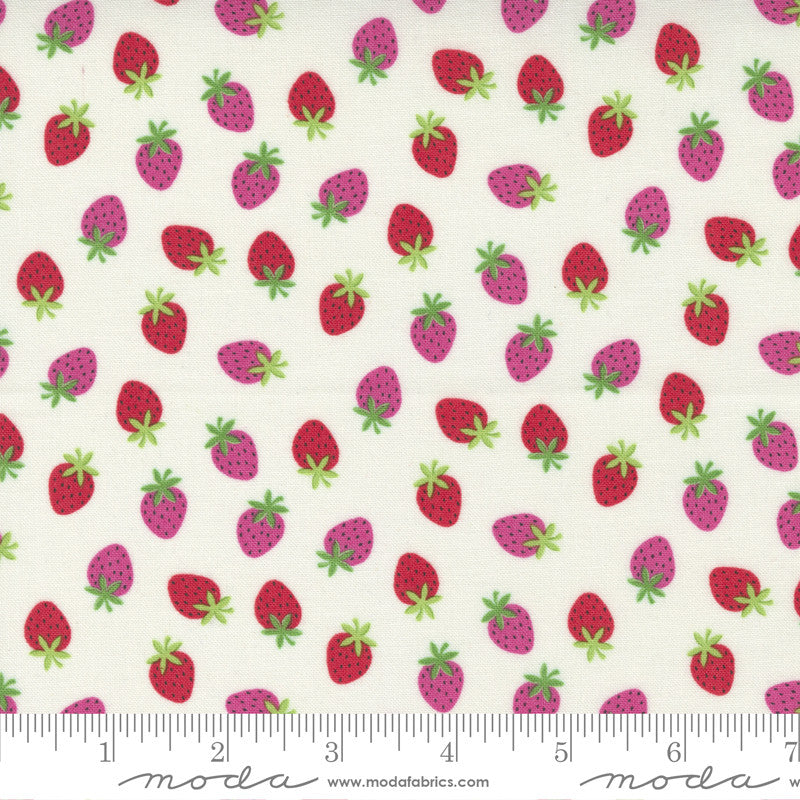 Sale! Rainbow Garden Cloud Merry Berry Yardage by Abi Hall for Moda Fabrics | SKU #35365 11