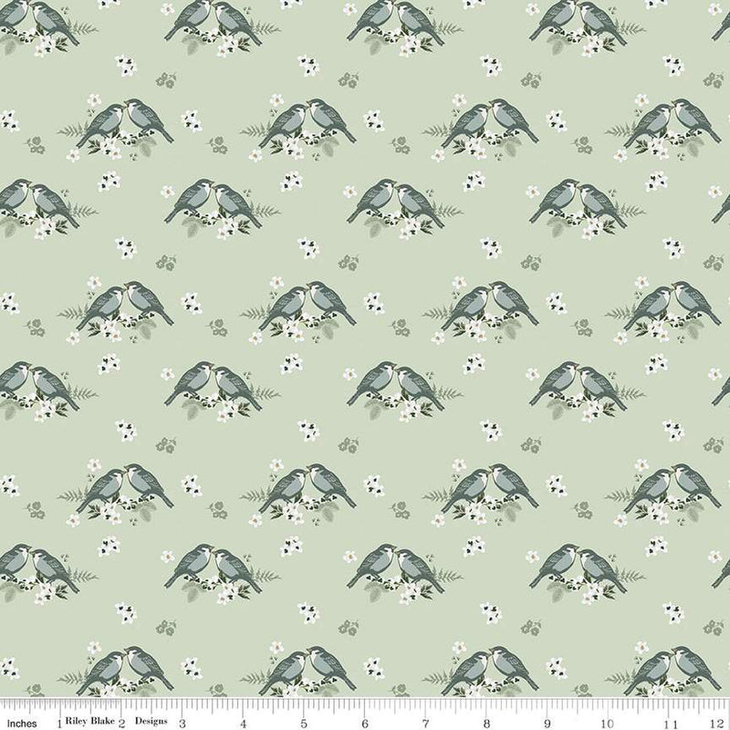 Gingham Fields Pistachio Birds Yardage by My Mind's Eye for Riley Blake Designs |C13351-PISTACHIO