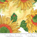 Solana Cream Sunflowers Yardage by Robin Pickens for Moda (48680 11) Cut Options Available